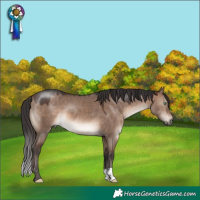 Horse Color:Brown Dun Mushroom 