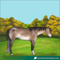 Horse Color:Brown Dun Mushroom