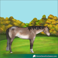 Horse Color:Brown Dun Mushroom 