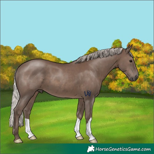Horse Color:Silver Black 