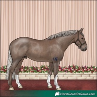 Horse Color:Silver Black 