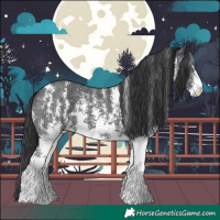 Horse Color:Black Sabino