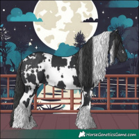 Horse Color:White Spotted Black 