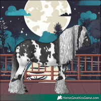 Horse Color:White Spotted Black