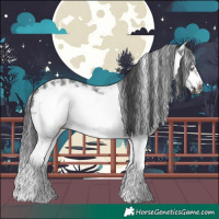 Horse Color:Black Sabino Frame 
