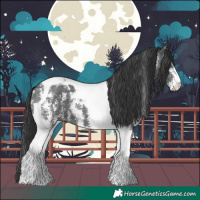 Horse Color:Black Sabino Tobiano
