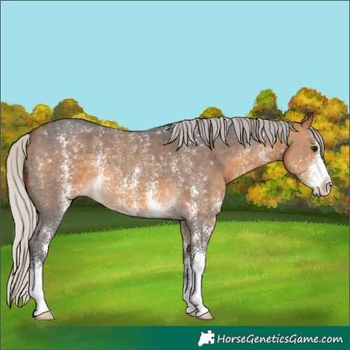 Horse Color:Silver Buckskin Sabino 