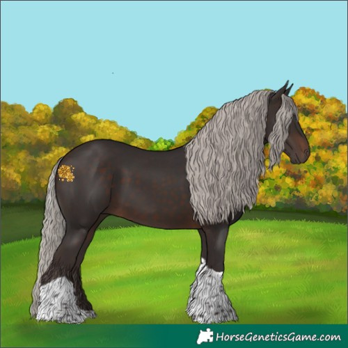 Horse Color:Silver Brown Tobiano 