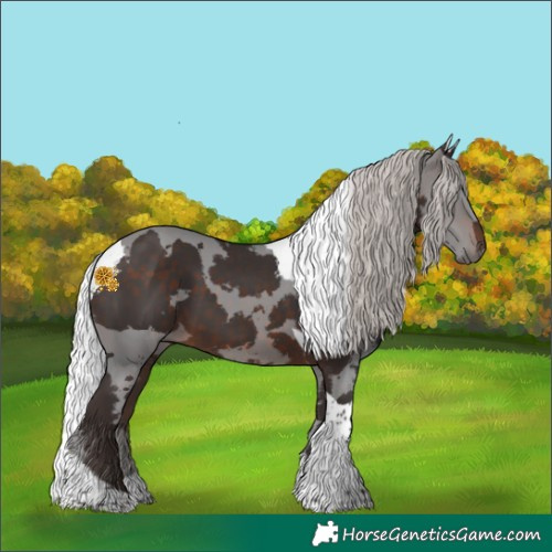 Horse Color:Silver Brown Merle Tobiano 