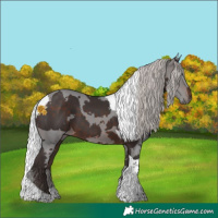 Horse Color:Silver Brown Merle Tobiano
