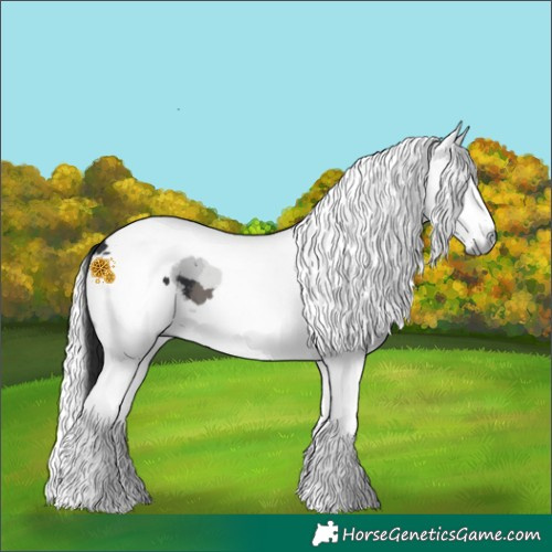 Horse Color:Black Merle Tobiano 