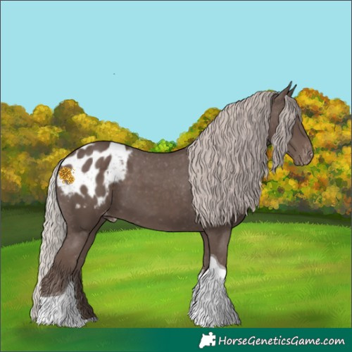 Horse Color:Silver Black Tobiano Blanket 