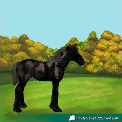 Horse Color:Void Platinum Liver Chestnut Splash Tobiano 