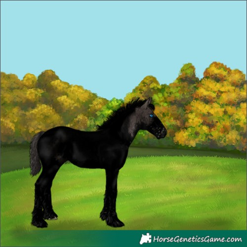 Horse Color:Void Platinum Liver Chestnut Splash Tobiano 
