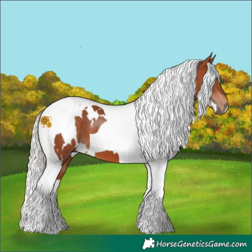 Horse Color:White Spotted Silver Bay Tobiano 