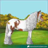 Horse Color:White Spotted Silver Bay Tobiano 