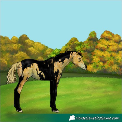Horse Color:Void Watercolor White Spotted Liver Chestnut Ice Tobiano 