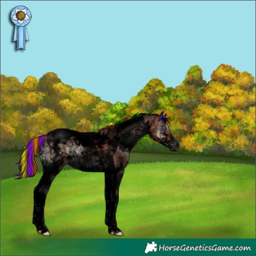 Horse Color:Void Painted White Spotted Chocolate Brown Ice Onyx Splash Tobiano