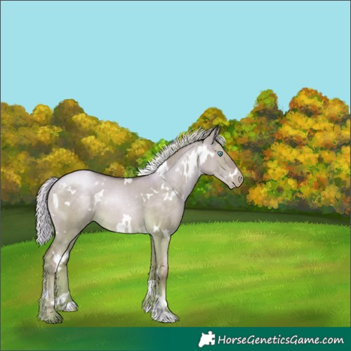 Horse Color:White Spotted Silver Buckskin Pearl Dun