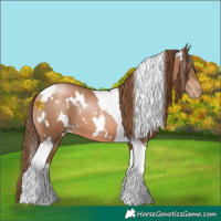 Horse Color:White Spotted Liver Chestnut Pearl Tobiano 