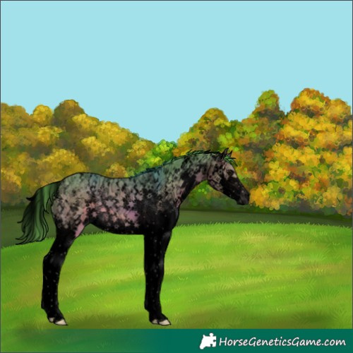 Horse Color:Void Watercolor Brown Ice Sabino Splash 