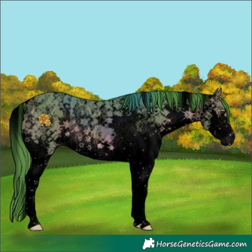 Horse Color:Void Watercolor Brown Ice Sabino Splash 