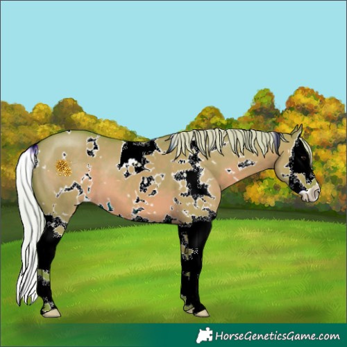 Horse Color:Watercolor White Spotted Silver Grullo Splash 