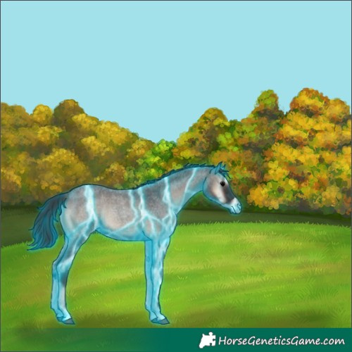 Horse Color:Thunderstruck Blue Onyx Roan 