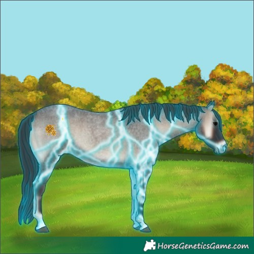Horse Color:Thunderstruck Blue Onyx Roan 