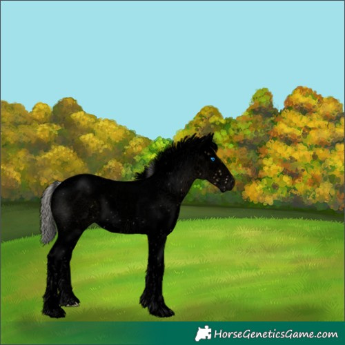 Horse Color:Void Silver Buckskin Sabino Splash