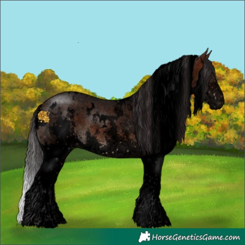 Horse Color:Void White Spotted Brown Sabino Splash 