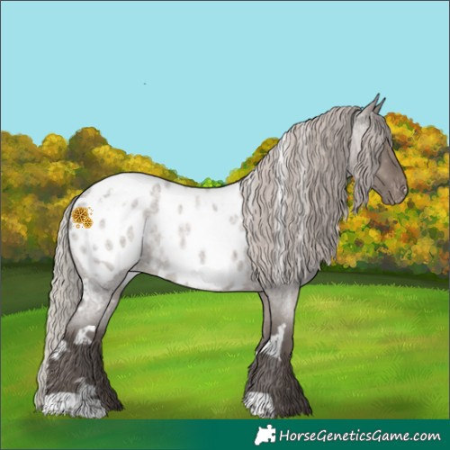 Horse Color:White Spotted Silver Grullo Roan Blanket 