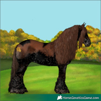 Horse Color:Void Liver Chestnut Splash Tobiano