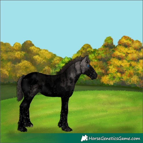 Horse Color:Void Platinum Liver Red Dun Sabino Splash Tobiano 