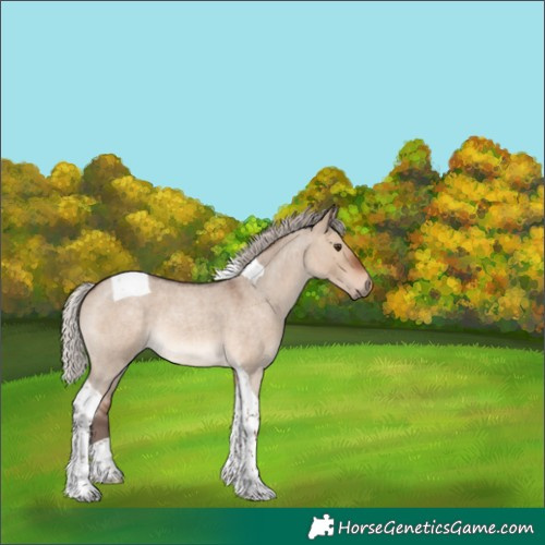 Horse Color:Silver Brown Roan Dun Tobiano 