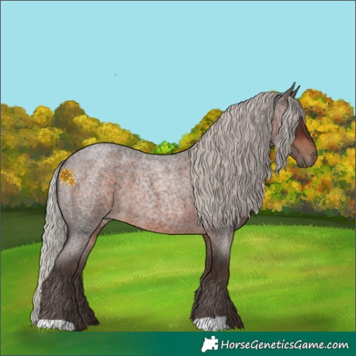 Horse Color:Silver Brown Roan 