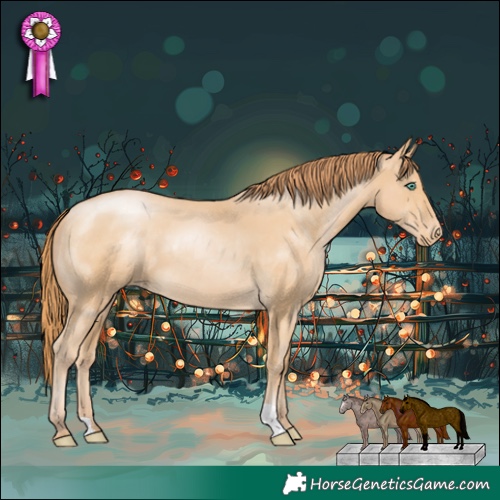 Horse Color:Smoky Black Pearl Appaloosa