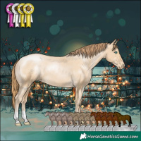 Horse Color:Smoky Black Pearl Appaloosa
