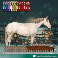 Horse Color:Smoky Black Pearl Varnish 