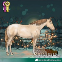 Horse Color:Smoky Black Pearl Appaloosa 