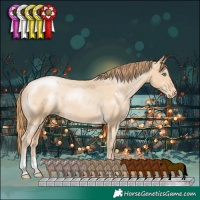 Horse Color:Smoky Black Pearl Appaloosa 