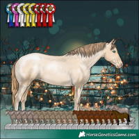 Horse Color:Smoky Black Pearl Appaloosa