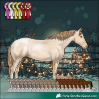 Horse Color:Smoky Black Pearl Appaloosa 