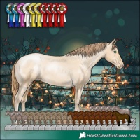 Horse Color:Smoky Black Pearl Appaloosa