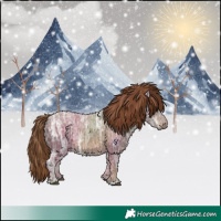 Horse Color:Chestnut Ice 