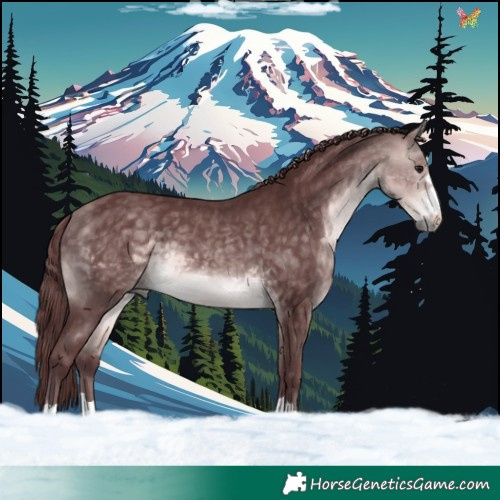 Horse Color:Platinum Chocolate Buckskin 