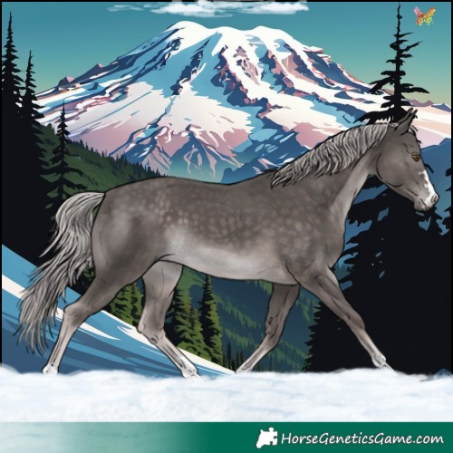 Horse Color:Platinum Chocolate Palomino 