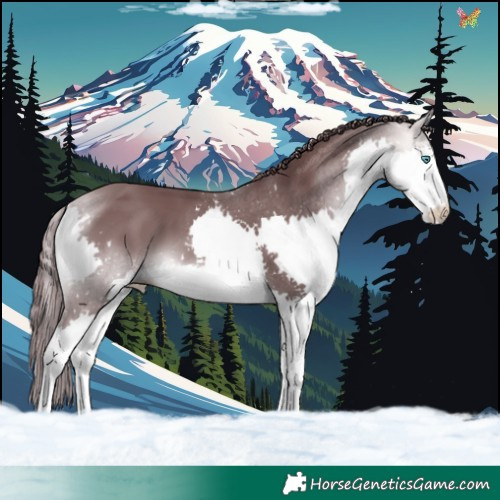 Horse Color:Platinum Chocolate Buckskin Splash 