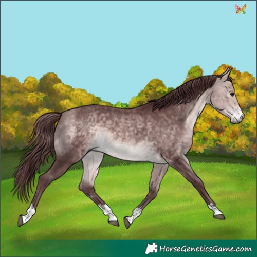 Horse Color:Platinum Chocolate Buckskin 