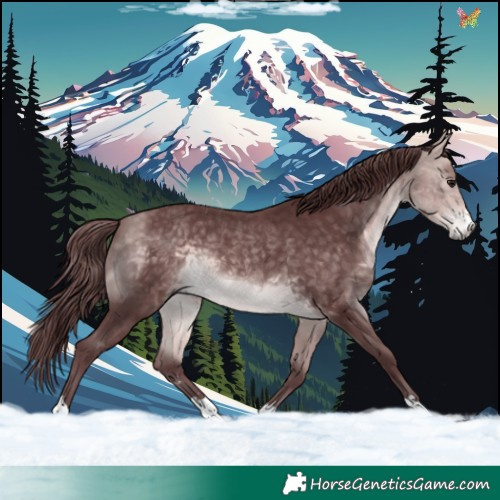 Horse Color:Platinum Chocolate Buckskin 